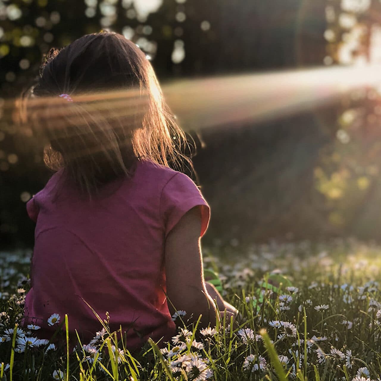 Ett barn med rosa tröja sitter i en äng av prästkragar och tittar på solnedgången