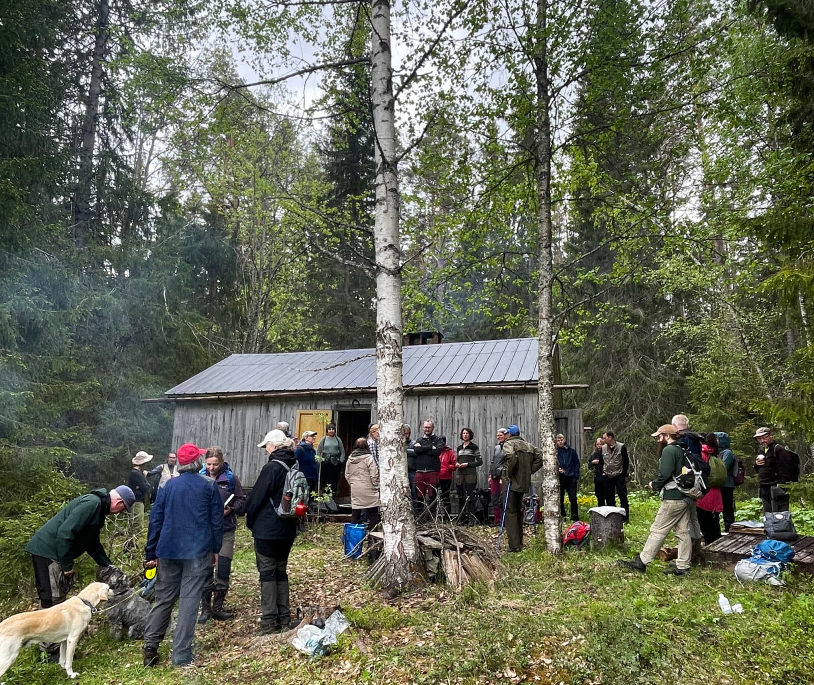 Många personer som står och pratar framför en fäbodstuga i skogen