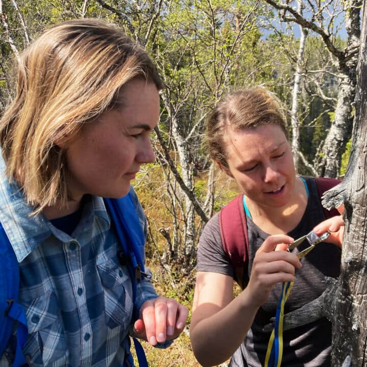 Två kvinnor undersöker ett träd med lupp