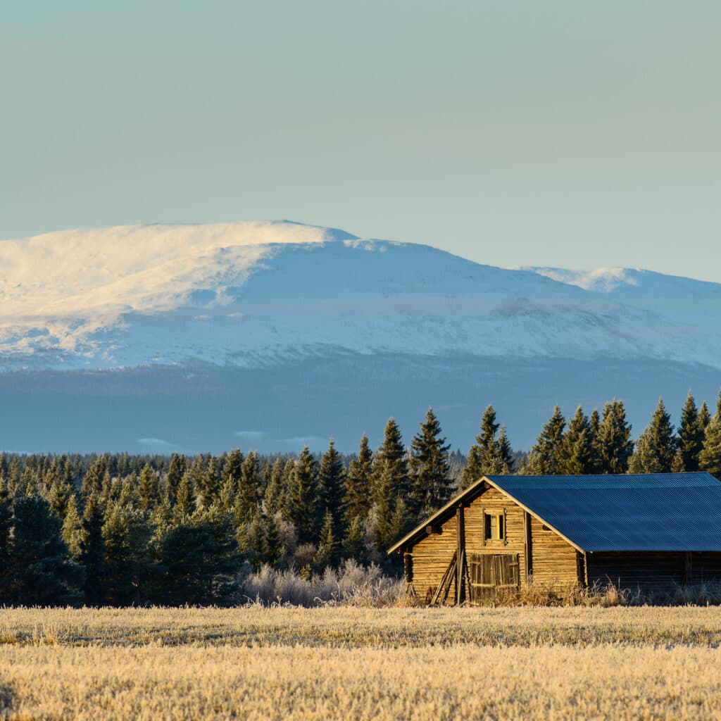 En äldre lada på ett vintrigt fält med fjäll i bakgrunden