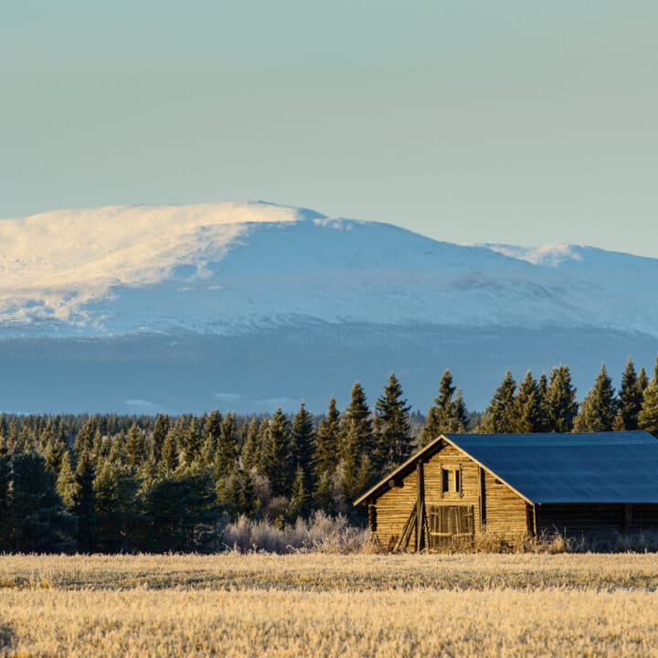 En äldre lada på ett vintrigt fält med fjäll i bakgrunden